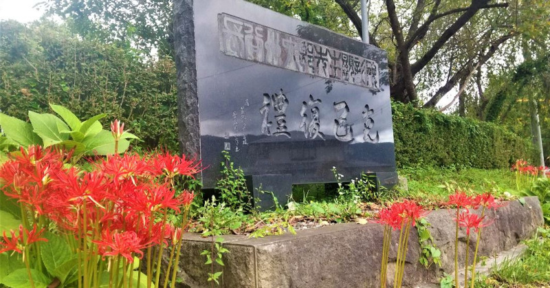 彼岸花