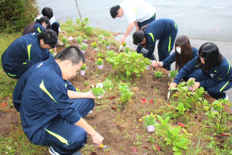 花植える