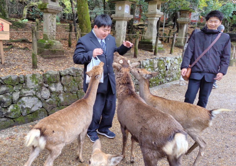 奈良公園