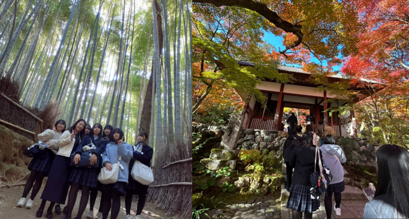 嵐山2-1