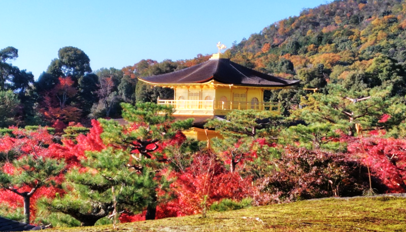 金閣寺6