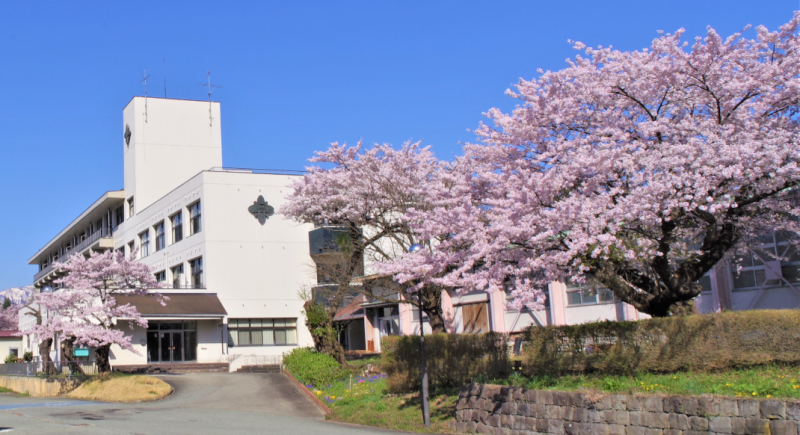 桜１