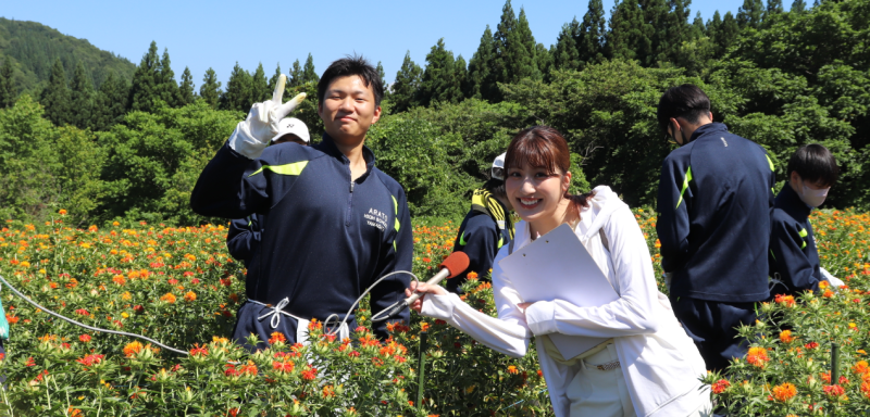 紅花（大翔）
