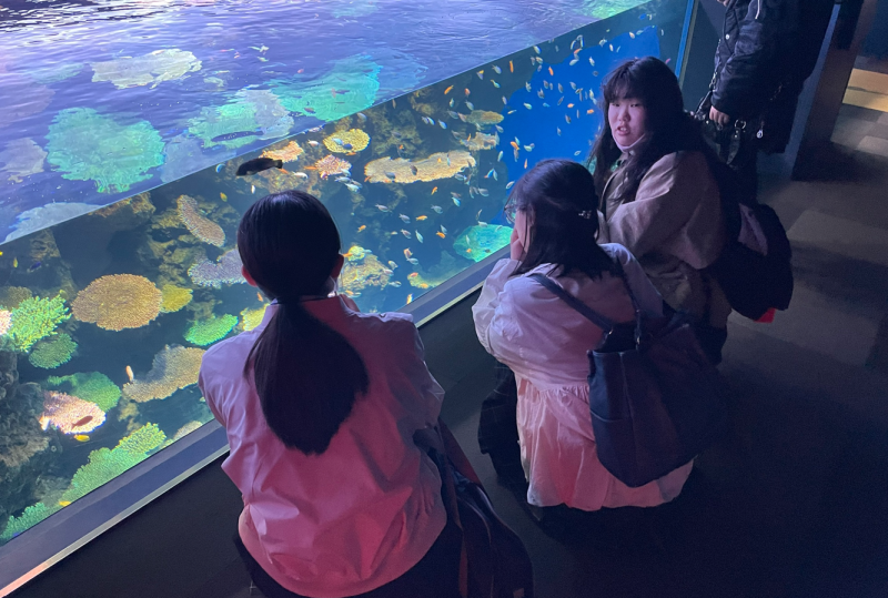 修学旅行２日目１