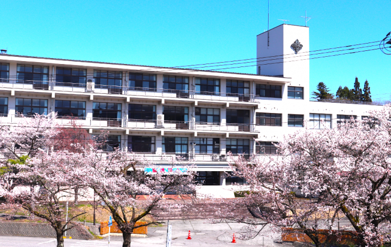 桜と校舎