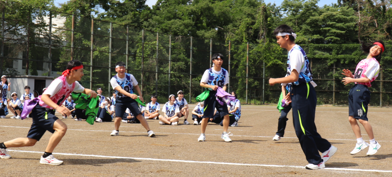 尻尾とり1