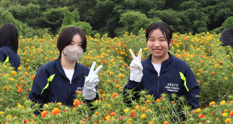 紅花14